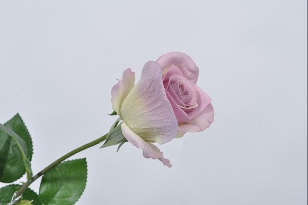 Rose spray violet 65 cm