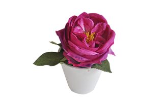 Chậu hoa hồng trang trí