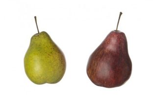 Decorative pear