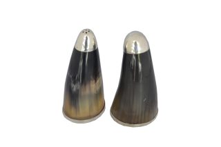 Bộ ống muối tiêu sừng nưa