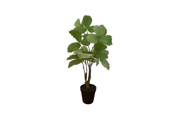 CAY I/POT LEAF GREEN 70CM 127906S