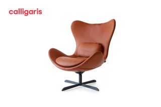 Armchair Lazy da màu nâu sang trọng