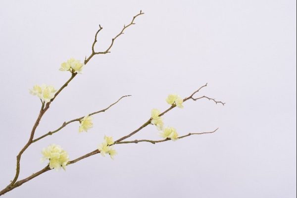 Hoa đào màu vàng 60cm