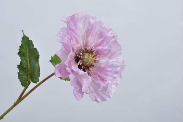 POPPY SPRAY lavender 60 CM