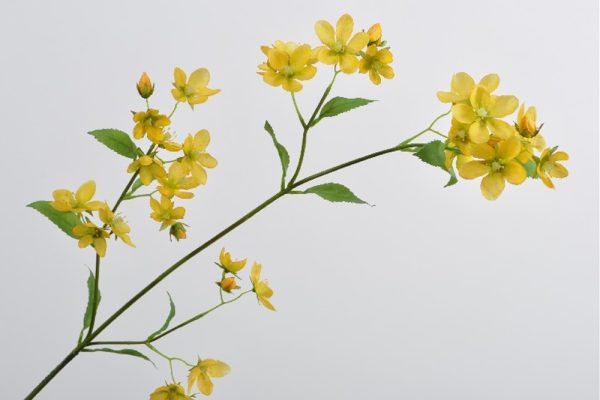 Hoa màu vàng 100cm