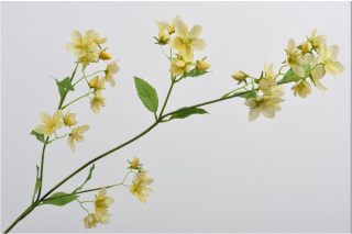 Hoa màu vàng nhạt 100cm