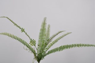 Cành lá dương xỉ 18cm