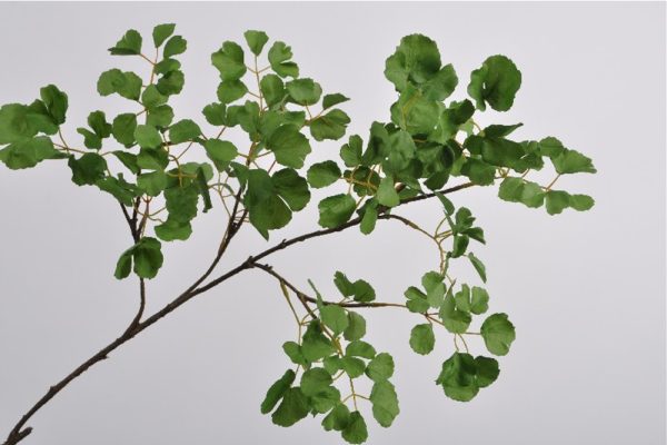 Cành lá xanh 134cm