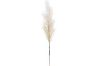 Branch Feather Duster Plastic