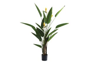 Chậu cây giả Paradise