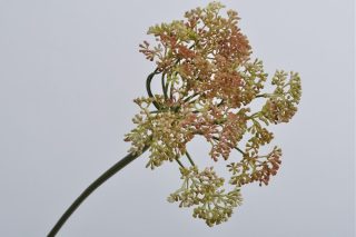 Hoa dại màu hồng 61cm