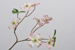 Hoa Dogwood màu hồng 68cm