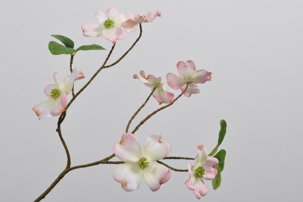 DOGWOOD SPRAY ROSE 68 CM