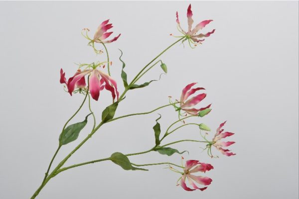 GLORIOSA SPRAY BEAUTY 90 CM