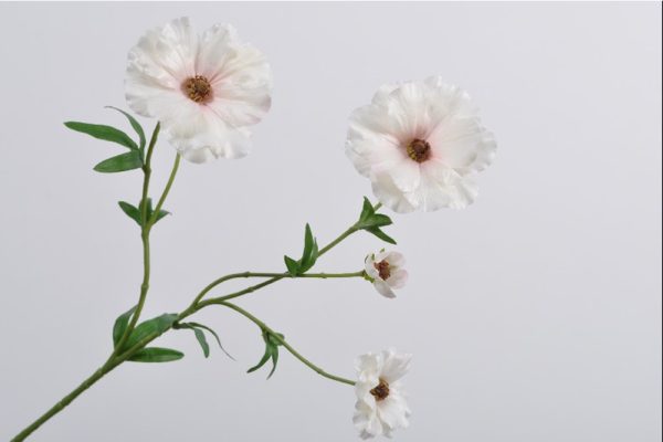 RANUNCULUS SPRAY PINK 56 CM