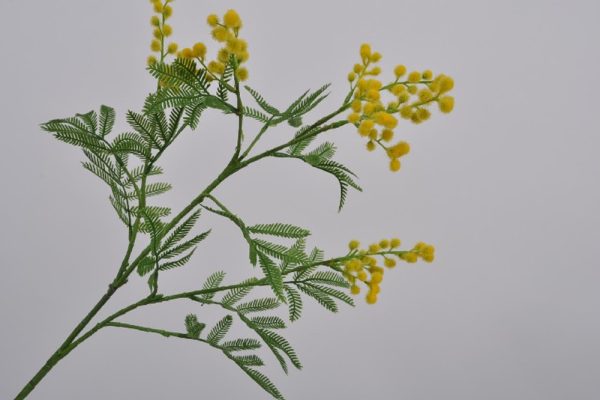 MIMOSA BRANCH 87 CM