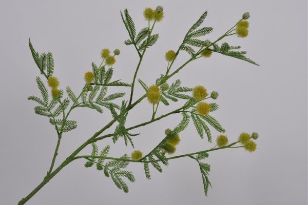 MIMOSA BRANCH GREEN 98 CM