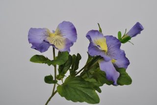 Hoa Pansy màu lavender 40cm