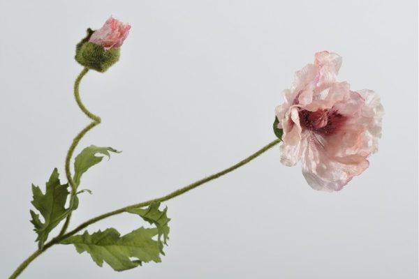 Hoa Poppy màu hồng 80 cm