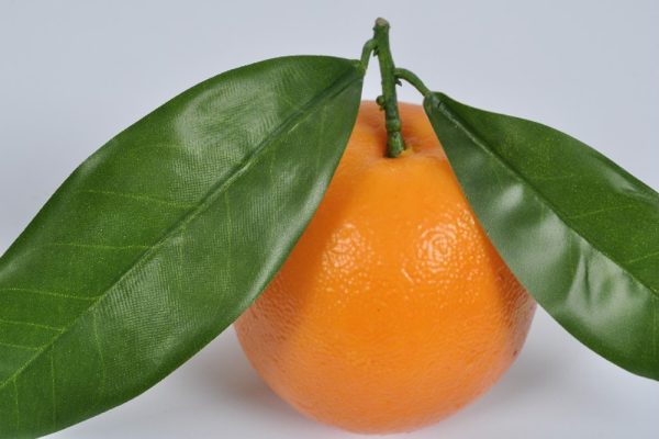 FRUIT ORANGE  11 CM