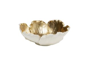 Đĩa hoa nở màu vàng