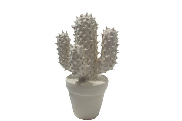 Chậu xương rồng gốm trắng