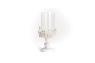 Chân nến san hô trắng