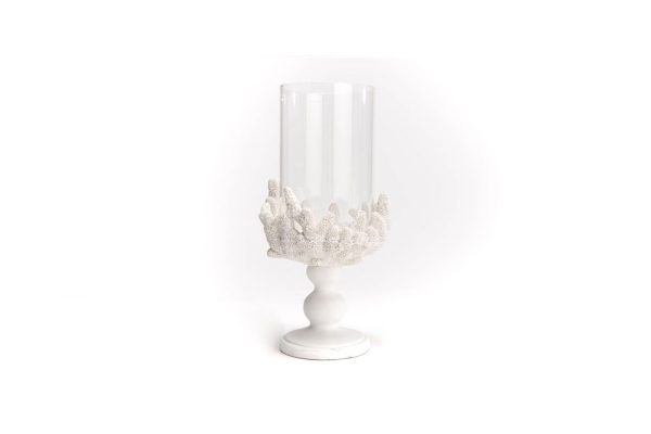 Chân nến san hô trắng