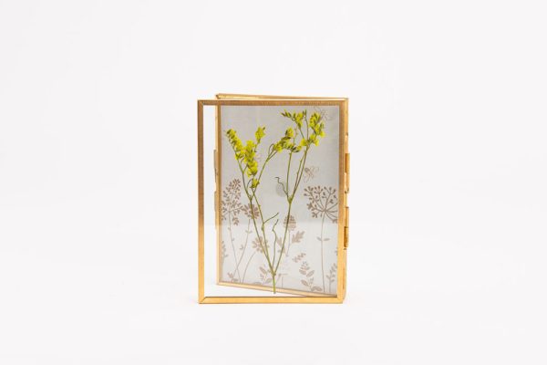 Tranh ép hoa khô Bonheur S