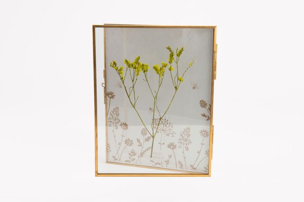 Tranh ép hoa khô Bonheur L