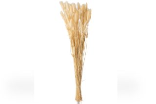 Bó hoa đuôi thỏ khô