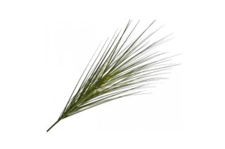 Cành lá cỏ H117 cm