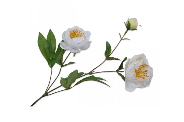 Hoa mẫu đơn (peony) màu kem 72cm