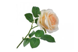 Hoa hồng vàng 49cm