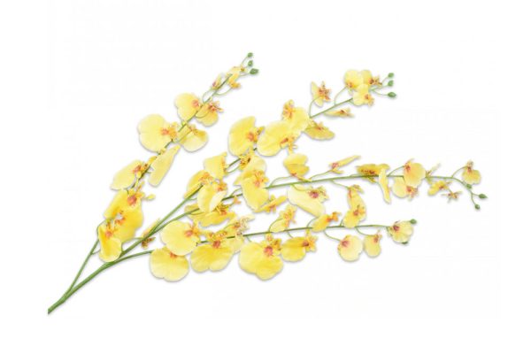 Hoa Lan vũ nữ vàng (oncidium) 114cm