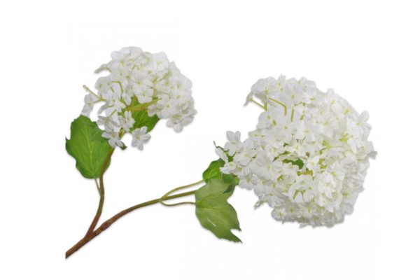 Hoa tú cầu H68 cm