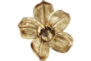 Hoa treo tường Orchid Gold