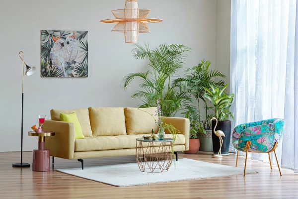 Phòng khách mùa hè nhiều màu sắc tươi mới vùngnhiệt đới