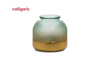 Bình Thủy Tinh Curly H24 2