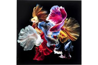 Colorful Fish Glass Painting 120X120 53082K