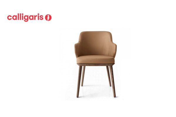 Foyer brown leather dining chair