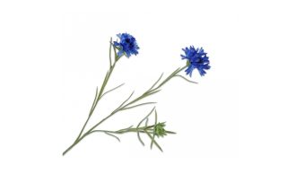 Cành hoa ngô Blu H65 132162S