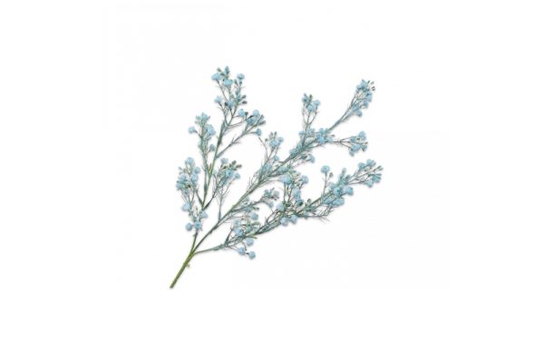 Blue Gypsophila flower stem 64cm 140104S