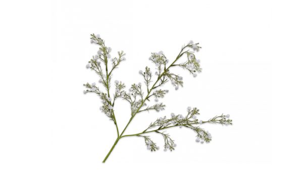Cành hoa Gypsophila trắng 64cm 140101S