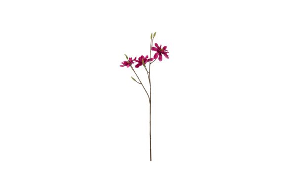 Magnolia flower branch with black veins 15x8x68cm 12454