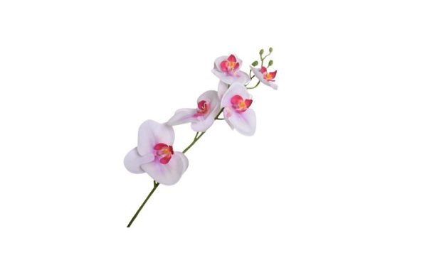 Orchid flower branch spray wie/lav 81cm 119640S