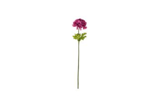 Cành hoa Ranunculus hồng đậm 53cm 12442