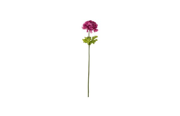 Branch of Ranunculus deep pink 53cm 12442