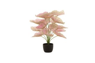 Caladium flower pot light pink/ green 25x25x57cm 22020