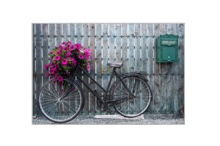 Tranh xe đạp 70x105 800943I